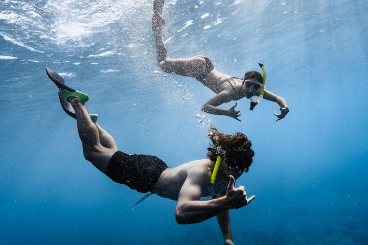 Waikiki Turtle Canyon Snorkel: Turtles Guaranteed