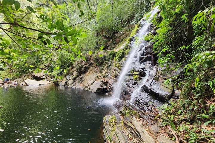 Swim and Unwind at a Scenic Waterfall from Hopkins Village