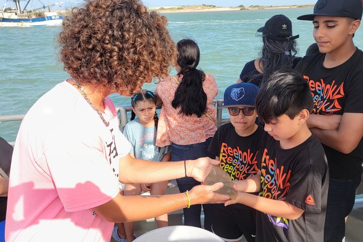 3:00 PM Eco Tour and Dolphin Watch