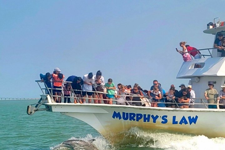 3:00 PM Eco Tour and Dolphin Watch