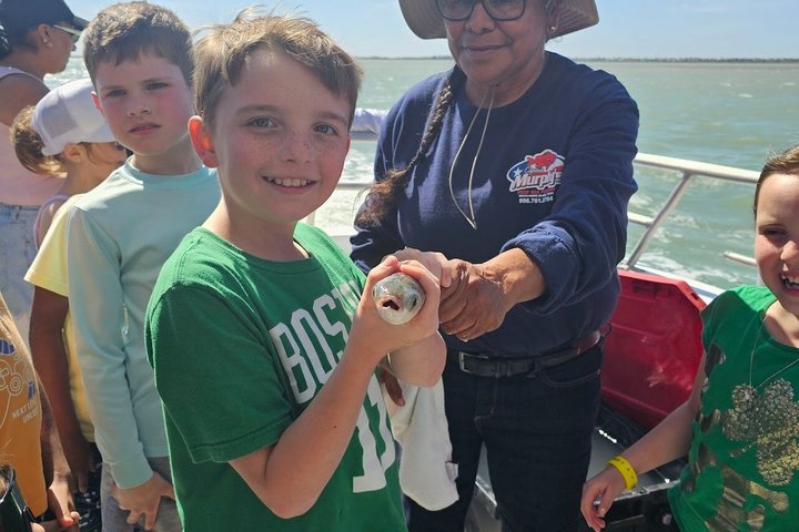 3:00 PM Eco Tour and Dolphin Watch