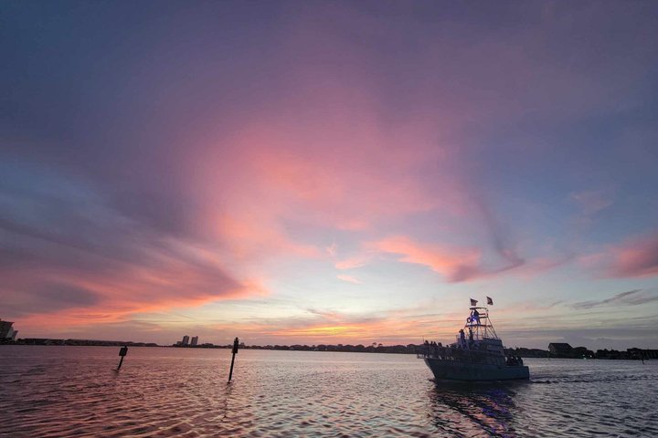 Shared Dolphin Cruise in Pensacola Beach | Frisky Mermaid