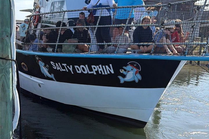 Shared Dolphin Cruise in Pensacola Beach | Frisky Mermaid