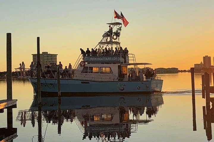 Shared Dolphin Cruise in Pensacola Beach | Frisky Mermaid