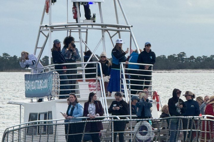 Shared Dolphin Cruise in Pensacola Beach | Frisky Mermaid