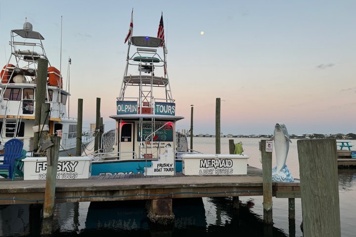 Shared Dolphin Cruise in Pensacola Beach | Frisky Mermaid