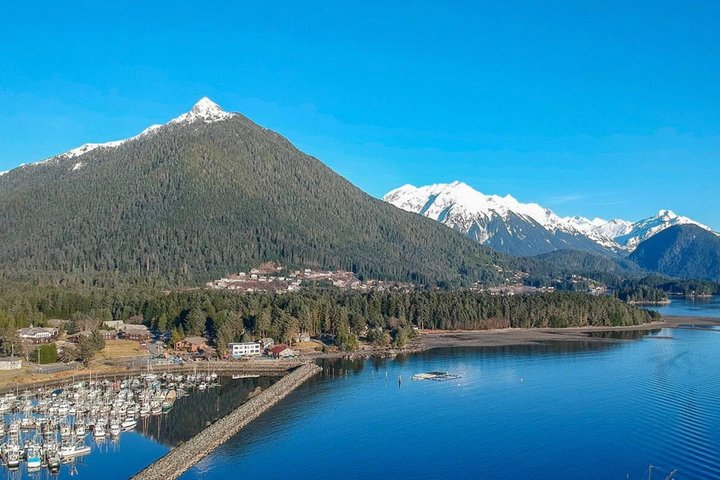 Sitka Up Close: Bears, Eagles & Totem Forest Walk (Small Group)