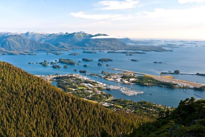 Sitka Up Close: Bears, Eagles & Totem Forest Walk (Small Group)