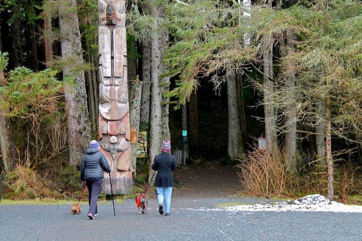 Sitka Up Close: Bears, Eagles & Totem Forest Walk (Small Group)