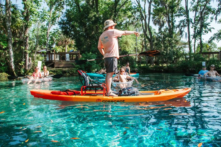 Crystal River: Three Sisters Manatee Clear Kayak Tour Free Photos