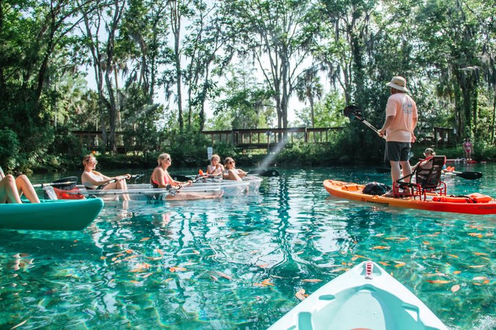 Crystal River: Three Sisters Manatee Clear Kayak Tour Free Photos