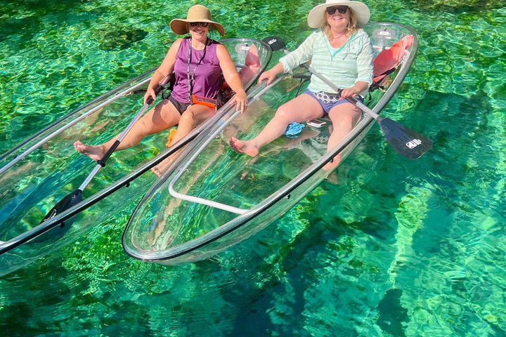 Crystal River: Three Sisters Manatee Clear Kayak Tour Free Photos