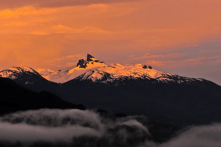 Whistler Afternoon Evening With The Bears Land Rover Scenic Tour