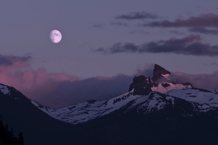 Whistler Afternoon Evening With The Bears Land Rover Scenic Tour