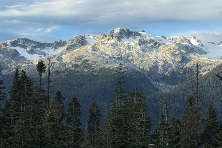 Whistler Afternoon Evening With The Bears Land Rover Scenic Tour