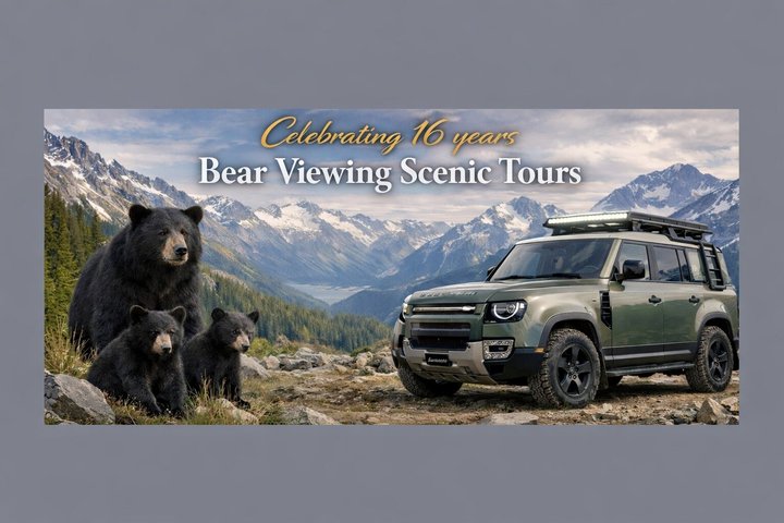 Whistler Afternoon Evening With The Bears Land Rover Scenic Tour