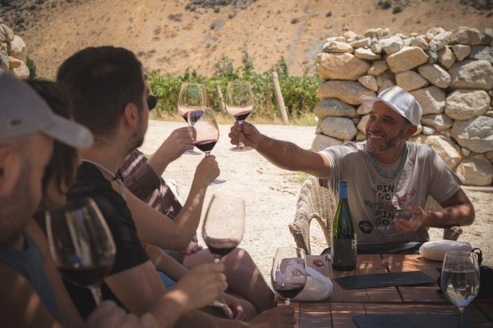 Tour Wineries From the Grape to the Cup