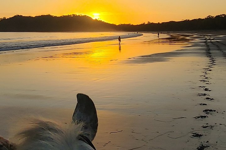 Horseback Riding in Puerto Carrillo: Beach & Jungle