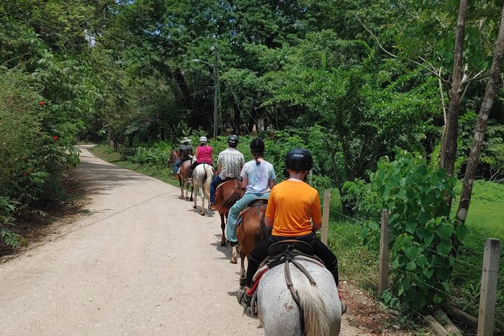 Horseback Riding in Puerto Carrillo: Beach & Jungle
