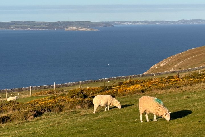 Private Luxury North Wales Tour –Snowdonia & Conwy (Door-to-Door)