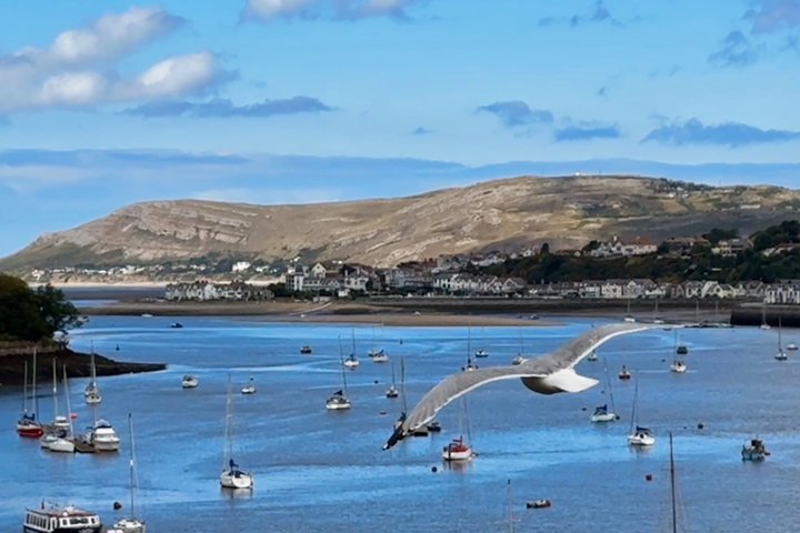 Private Luxury North Wales Tour –Snowdonia & Conwy (Door-to-Door)