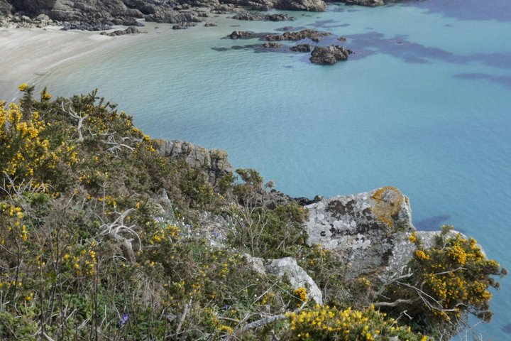 Guernsey Shore Excursion Coastal Highlights Small Group Tour