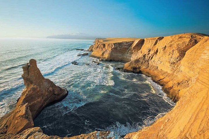 Full Day Tour Ballestas Islands Paracas and Huacachina Reserve