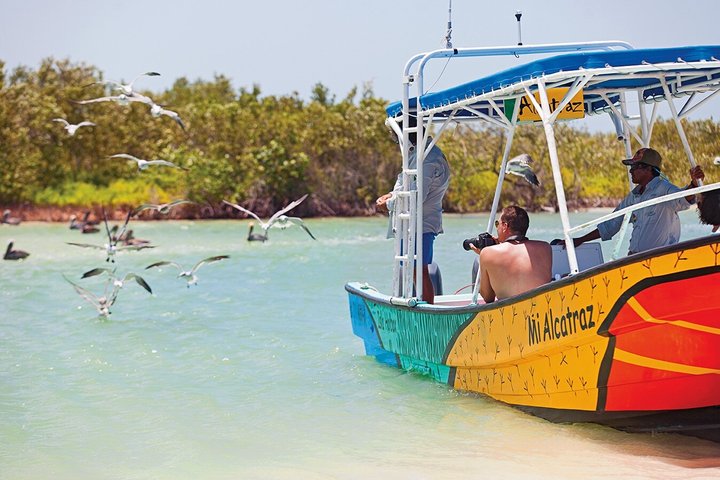 Whale Shark and Snorkeling Adventure from Isla Holbox