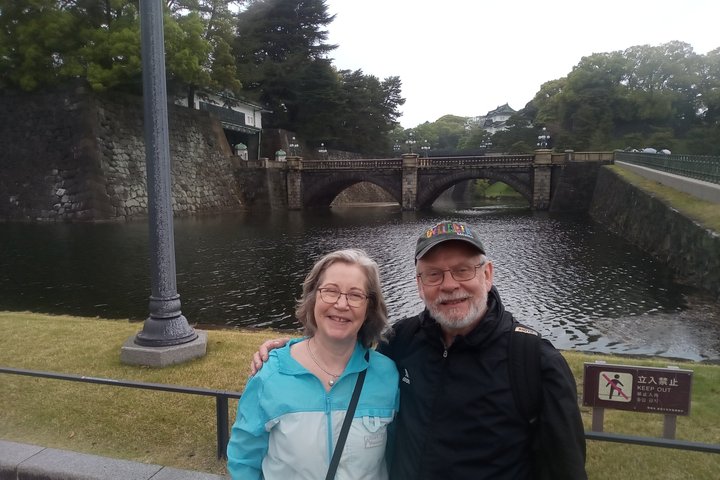 Best of Tokyo Private Tour from Yokohama & Tokyo Ports or Hotels