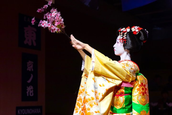 Kyoto Sumo Entertainment Show with Chicken Hot Pot and Geisha