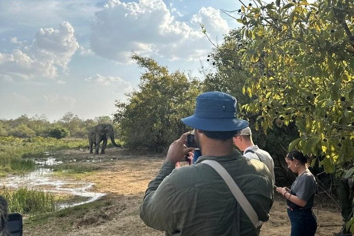 Mole National Park Elephant Safari with Round - Trip Flights