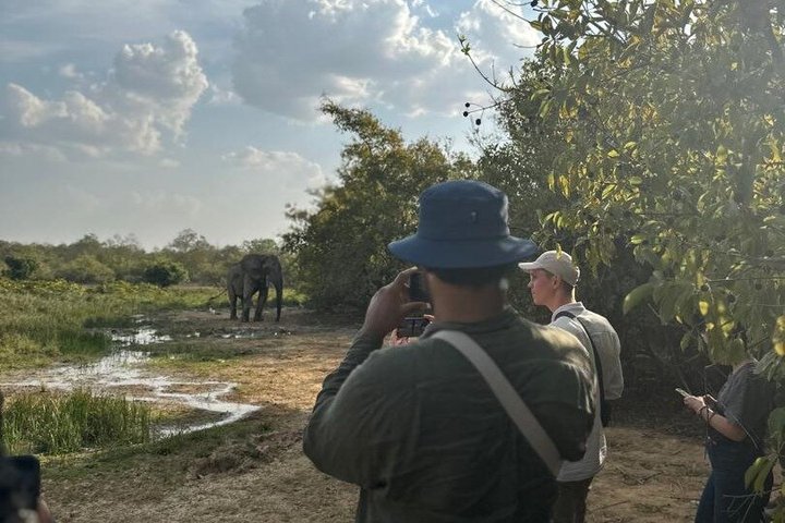 Mole National Park Elephant Safari with Round - Trip Flights