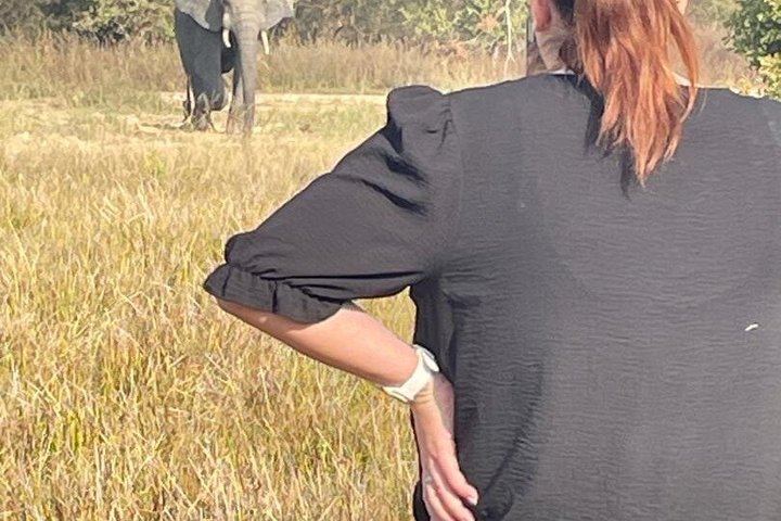 Mole National Park Elephant Safari with Round - Trip Flights