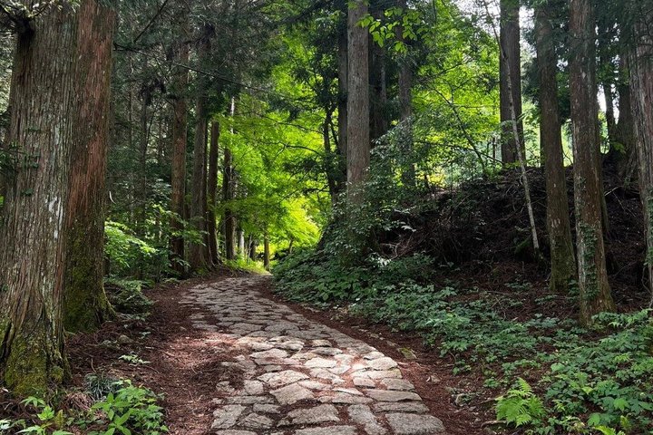 Magome to Tsumago Hiking Tour from Nagoya