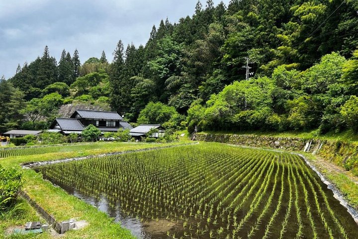 Magome to Tsumago Hiking Tour from Nagoya