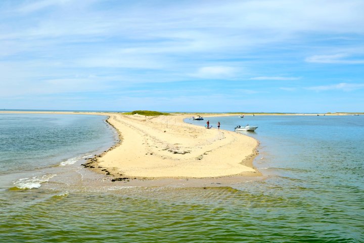 Wellfleet Harbor Seal Cruise Small Group Boat Tour on Cape Cod