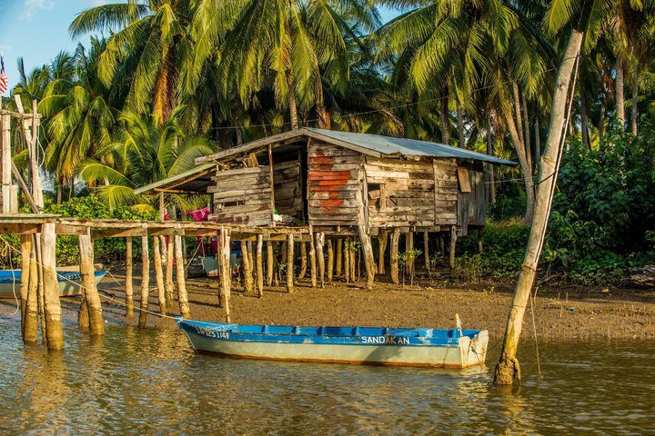 Sandakan Mangrove Fireflies Dinners Tastings and Cruise