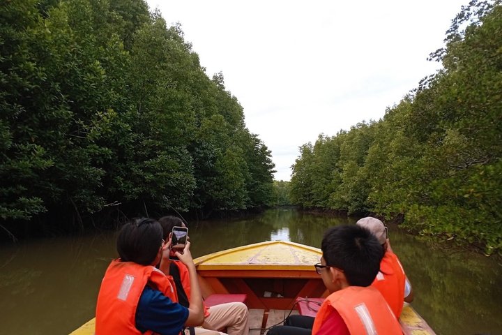 Sandakan Mangrove Fireflies Dinners Tastings and Cruise