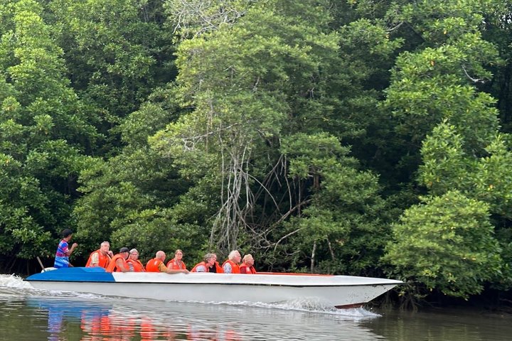 Sandakan Mangrove Fireflies Dinners Tastings and Cruise