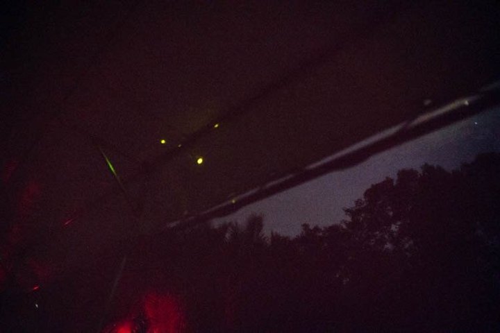 Sandakan Mangrove Fireflies Dinners Tastings and Cruise