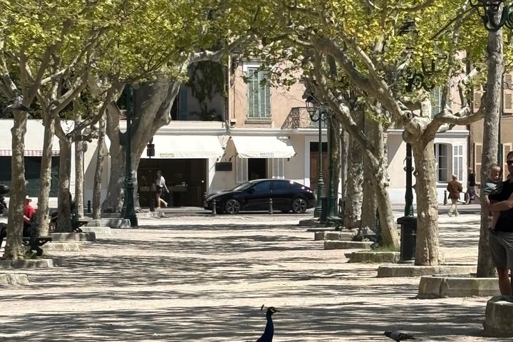 Saint Tropez and Port Grimaud Full Day Sightseeing Tour