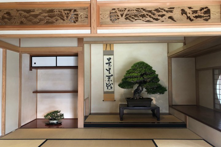Omiya Bonsai Museum and Village Guided Tour Near Tokyo