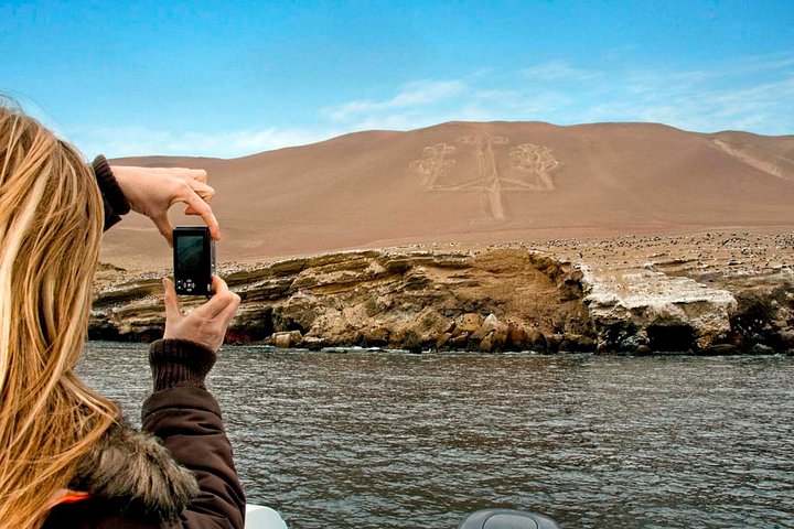 Full Day Tour Ballestas Islands Paracas and Huacachina Reserve