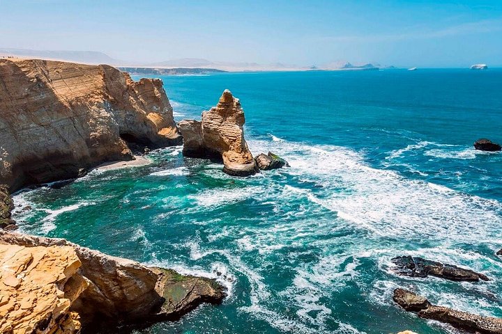 Full Day Tour Ballestas Islands Paracas and Huacachina Reserve