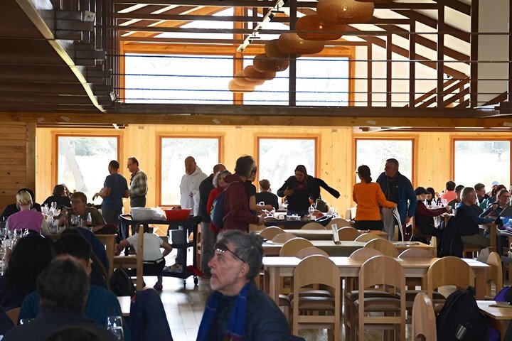Balmaceda and Serrano Glaciers Boat Tour with Lunch