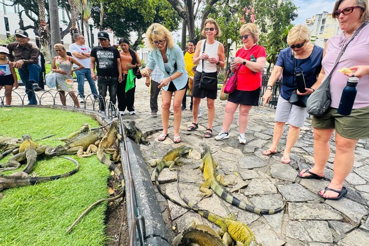 Guayaquil Highlights & Authentic Fine Cocoa Farm Experience