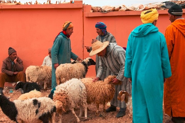 Moroccan Weekly Markets Shop Like a Local With A Small Budget