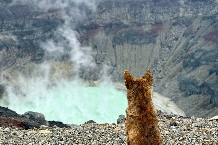Santa Ana volcano hike with privileged early access. Go safe and skip the crowds