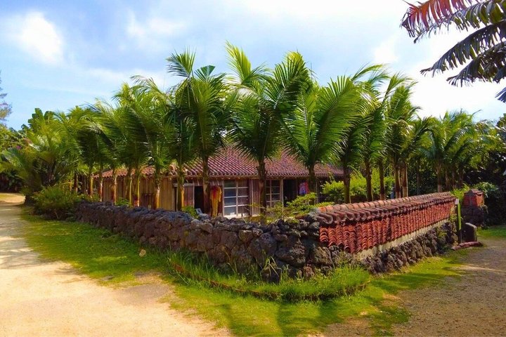 All-Inclusive Ishigaki Shore Excursion for Cruise Passengers