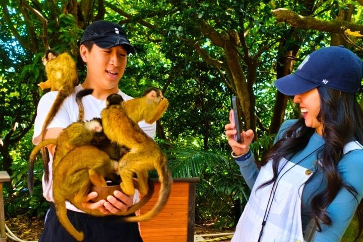 Private Custom Ishigaki Island Tour